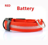 DOGBABY | Collar nocturno para mascota LED | - wayoyo