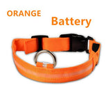 DOGBABY | Collar nocturno para mascota LED | - wayoyo