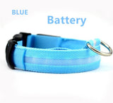 DOGBABY | Collar nocturno para mascota LED | - wayoyo