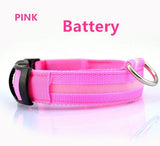 DOGBABY | Collar nocturno para mascota LED | - wayoyo