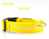 DOGBABY | Collar nocturno para mascota LED | - wayoyo