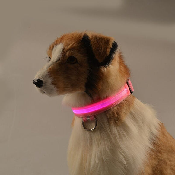 DOGBABY | Collar nocturno para mascota LED | - wayoyo